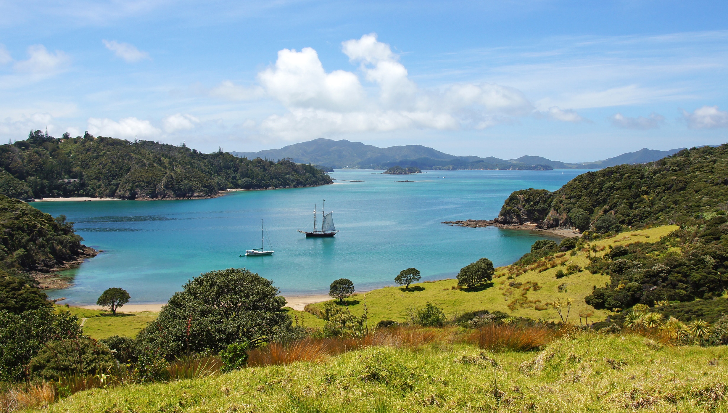 Cruise to Bay of Islands, New Zealand | MSC Cruises